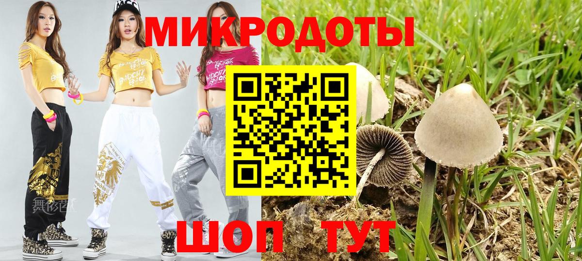 Псилоцибиновые грибы Cubensis Камень-на-Оби